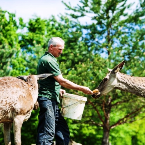 Sensory-Bloomy Experiences in a Deer Valley
